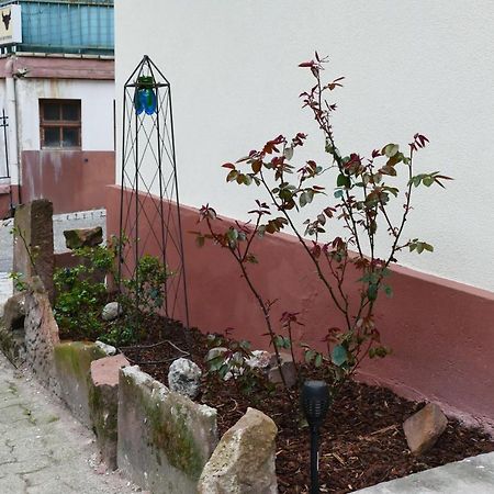 Le Gite Des Sources: Nature, Randonnees, Detente. Oberbronn Экстерьер фото
