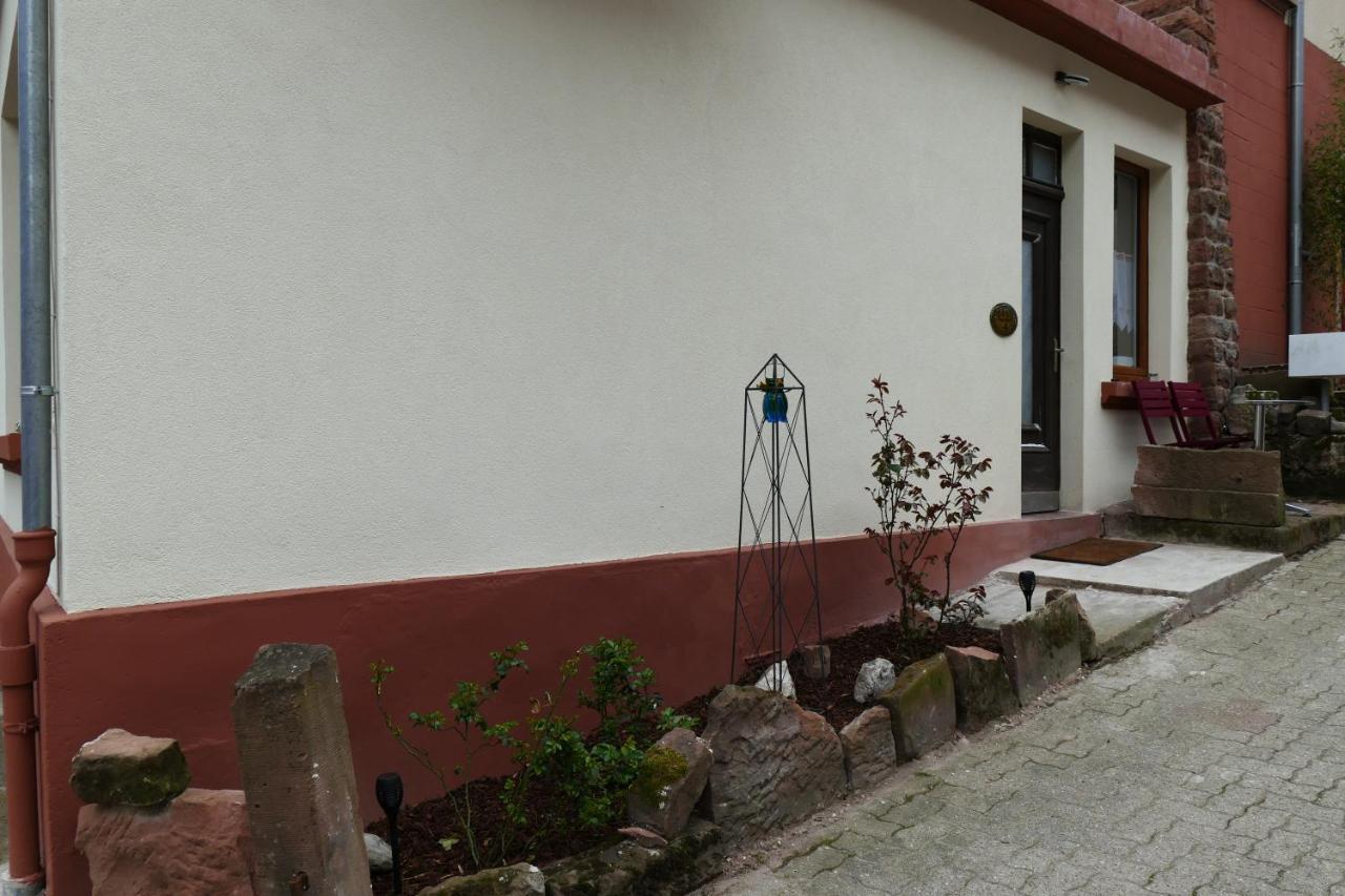 Le Gite Des Sources: Nature, Randonnees, Detente. Oberbronn Экстерьер фото